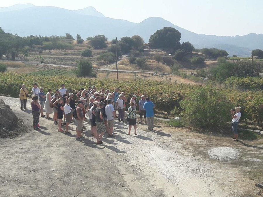 tourists listening to a man giving a tour at Vakakis Winery outside of vineyards